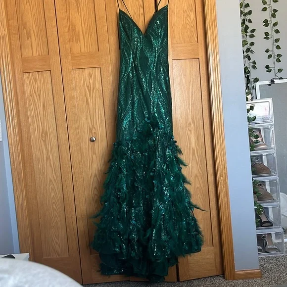 Prom Dress - Picture 3 of 3